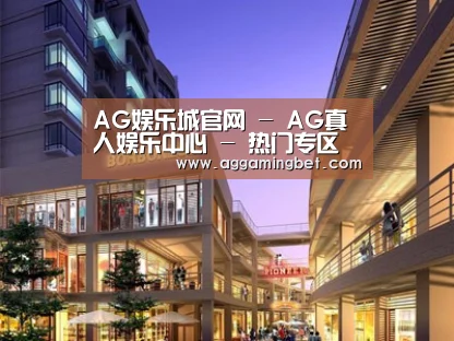 案例展示一